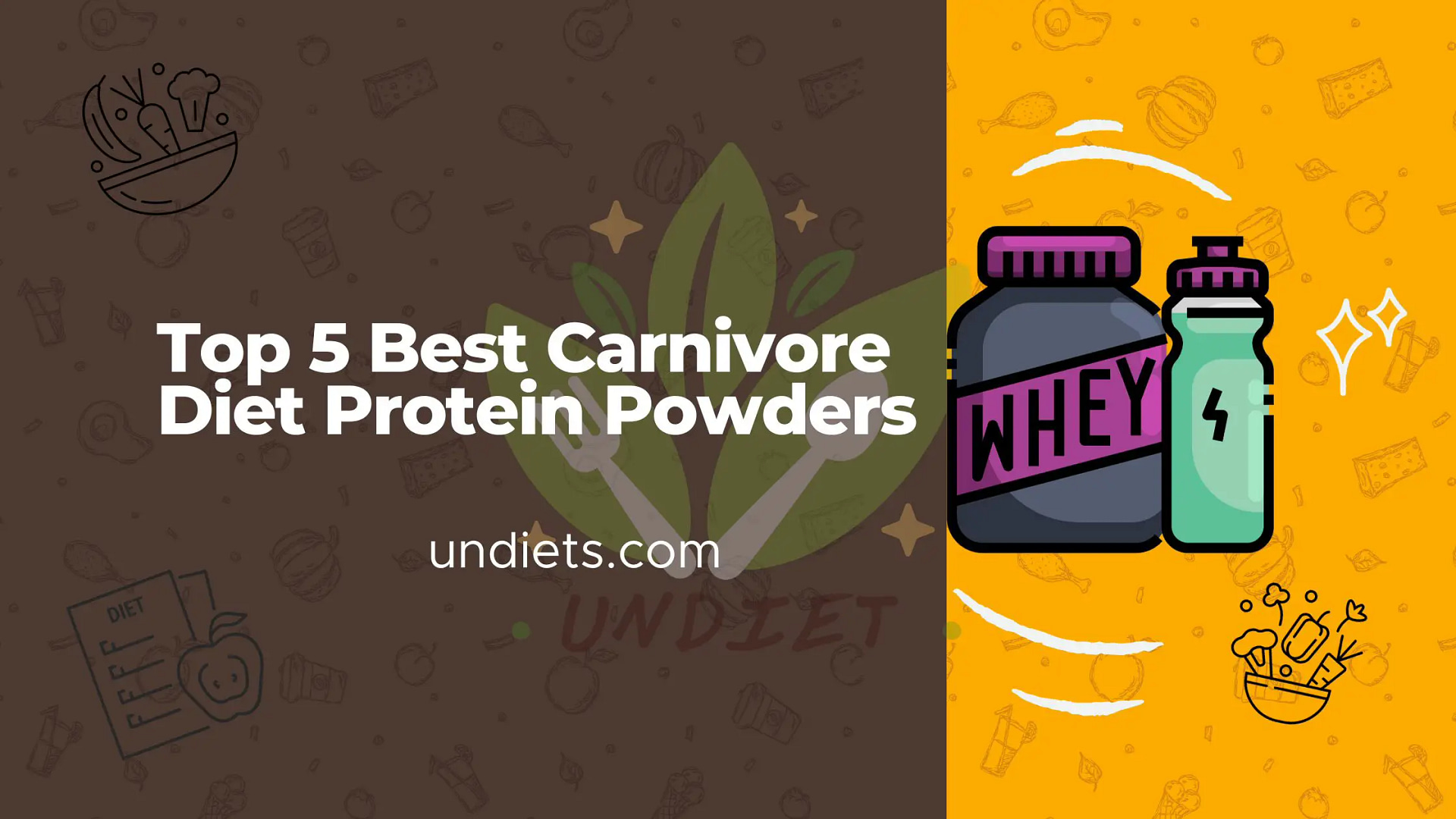 Top 5 Best Carnivore Diet Protein Powders